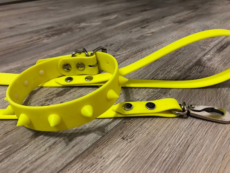 neon yellow dog collar
