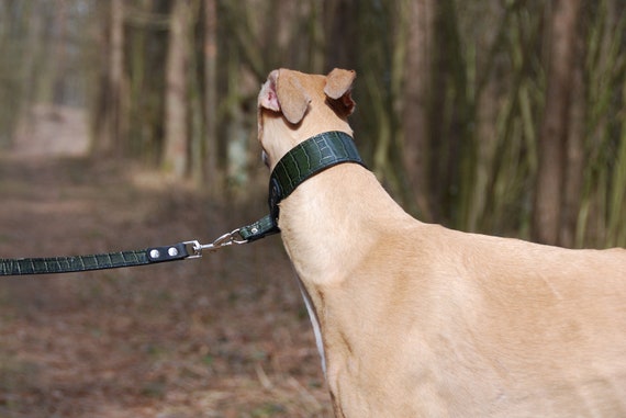 Large Leather Dog Collar Greyhound Lurcher Whippet Saluki BLACK MATT Large Leather Dog Collar Greyhound Lurcher Whippet Saluki BLACK MATT