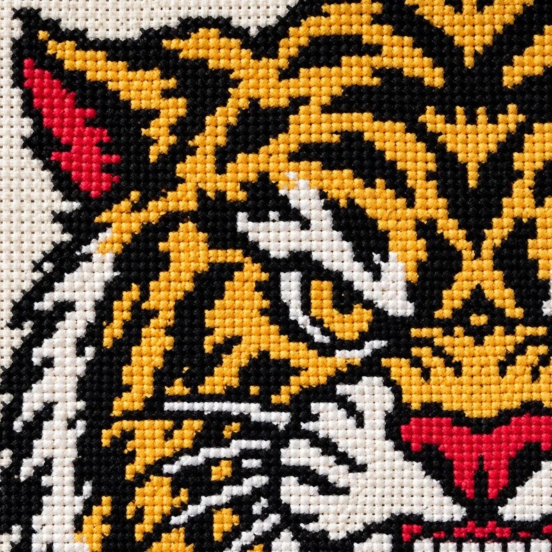 Macro of the stitched tiger eyes, nose and fangs