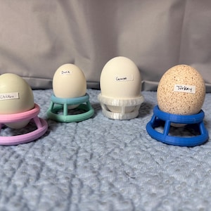 May include: Four eggs labeled "Chicken", "Duck", "Goose", and "Turkey" sit in colorful, 3D-printed egg holders. The holders are in shades of pink, green, white, and blue. The eggs vary in color and texture, with the turkey egg being speckled.