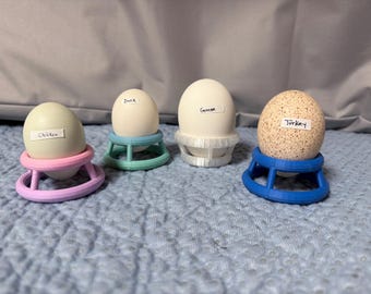 6 Anillos de incubación (grandes) Soporte vertical para huevos para incubar huevos en incubadoras
