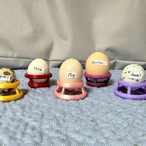 May include: Five eggs of varying sizes and colors, each resting in a colorful, 3D-printed egg holder. The eggs are labeled with the words "Quail", "Kikiriki", "18g", "Bantam", and "Quail". The holders are yellow, red, pink, blue, and purple.
