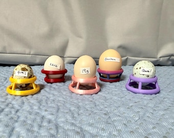 1 docena de anillos de incubación (pequeños) para colocar verticalmente los huevos en incubadoras.