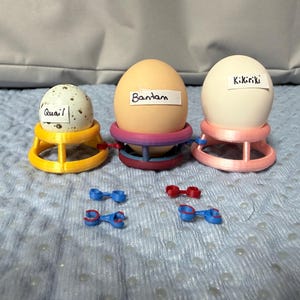 Docena de clips conectores para anillos de incubación - pequeños