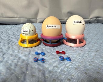 Docena de clips conectores para anillos de incubación - pequeños