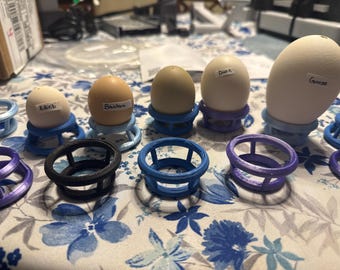 1 docena de anillos de incubación (medianos) - imperfectos