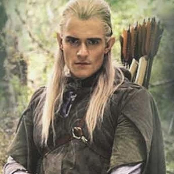 LEGOLAS Wig, Lord of the Rings Braided Cosplay Wig *READY to SHIP*