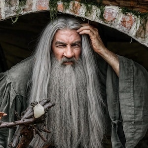 Gandalf the Gray * Mens Long Gray Cosplay Wig  * Ready to Ship *
