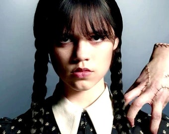 WEDNESDAY, Addams Family, Cosplay Wig * Black wig with braids.