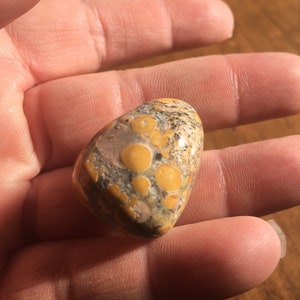 Leopard Skin Jasper crystal, polished crystal, home decor