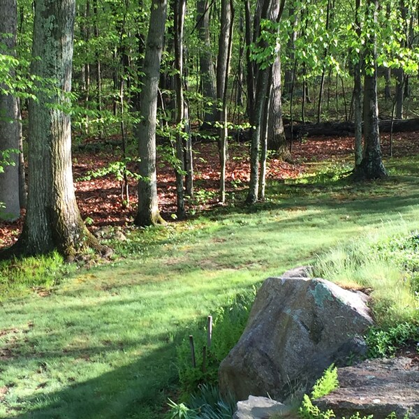 LIZ'S Reserved listing