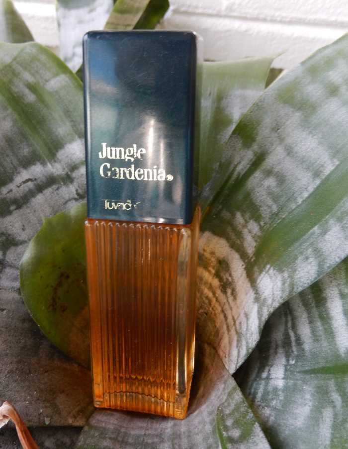 Jungle gardenia perfume for sale sales