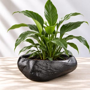 Black Oval Planter, Textured Ceramic Flower Pot, Rustic Indoor Plant Holder