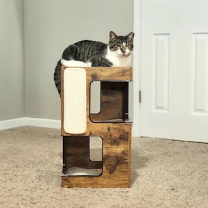 May include: A brown wood-grain cat tower with two open cubby levels and a vertical cream-colored scratching pad on the side. A tabby cat with white markings is resting on the top surface of the structure.