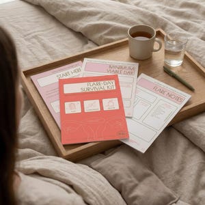 Könnte beinhalten: Ein Flare-Day Survival Kit Planer-Set mit korallenfarbenem Einband, einer Strichzeichnung eines Uterus und drei Symbolen mit der Beschriftung Plan, Communicate und Rest. Enthält Blätter mit den Titeln Start Here, Minimum Viable Day und Flare Notes.
