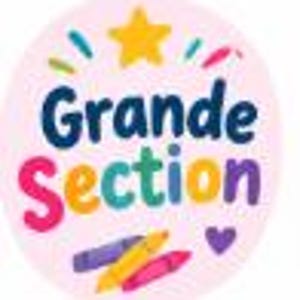 Può includere: Un adesivo circolare con sfondo rosa chiaro che presenta il testo Grande Section in blu scuro e viola. Sopra il testo c'è una stella gialla con accenti colorati, e sotto tre pastelli in viola, giallo e rosa con un piccolo cuore viola.