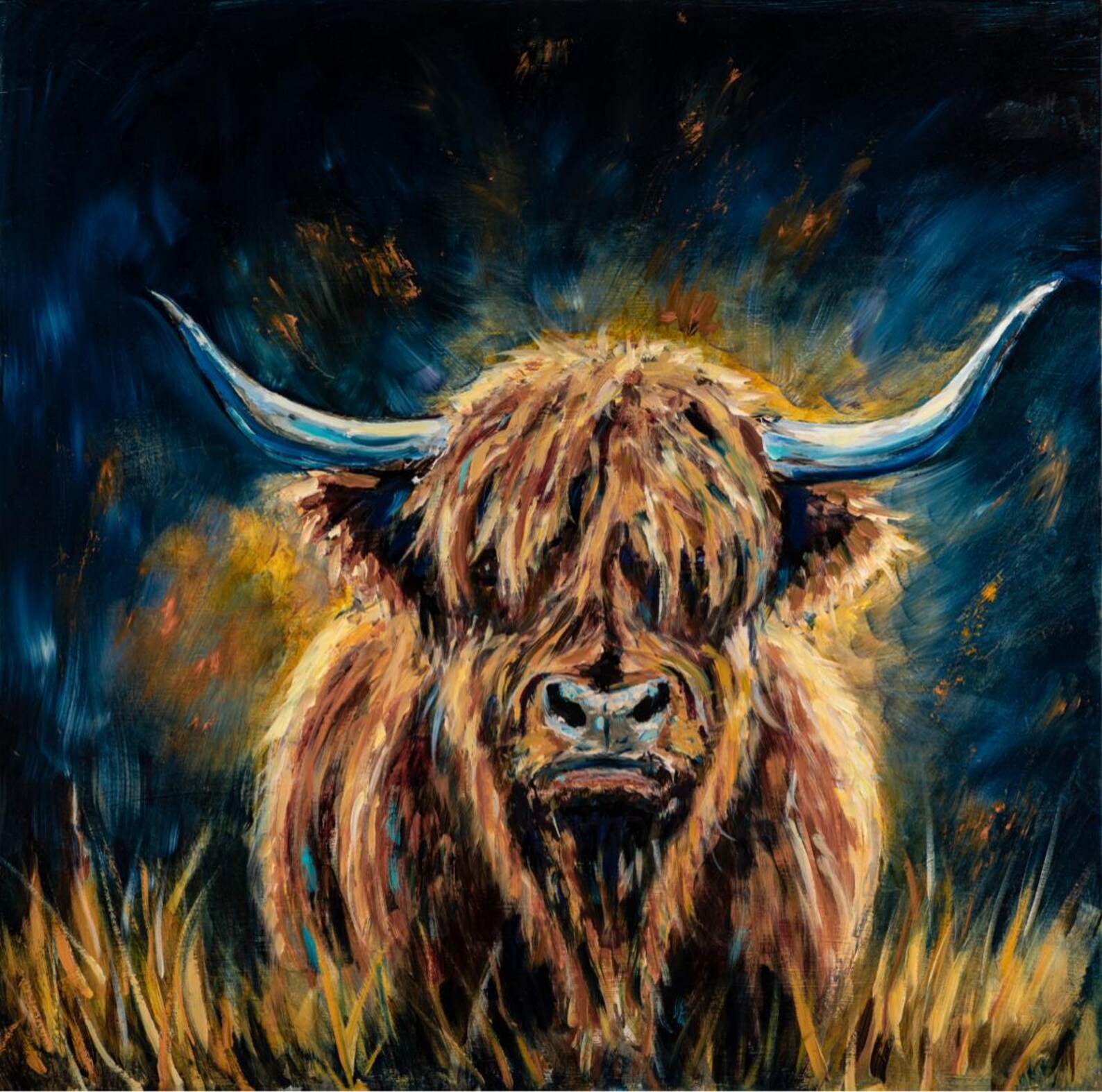 Highland Gaze — Highland Cow Print - Etsy