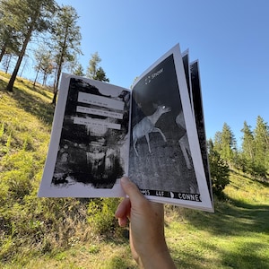 Zine, Perzine, Summer Zine, Black and White Zine, Haikus, Photo Zine, Hiking, Art Zine, Sonder, 18 Page Zine