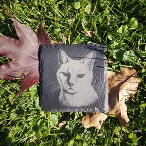 May include: A square black slate coaster featuring a laser-engraved portrait of a cat. The cat's face is rendered in light gray tones against the dark, textured stone surface, highlighting the detailed whiskers, ears, and facial features.