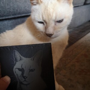 May include: A square black slate coaster featuring a laser-engraved portrait of a cat. The engraving depicts the detailed facial features of a feline, capturing the eyes, ears, and whiskers in a light gray tone against the dark stone surface.