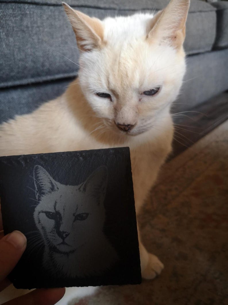 May include: A square black slate coaster featuring a laser-engraved portrait of a cat. The engraving depicts the detailed facial features of a feline, capturing the eyes, ears, and whiskers in a light gray tone against the dark stone surface.