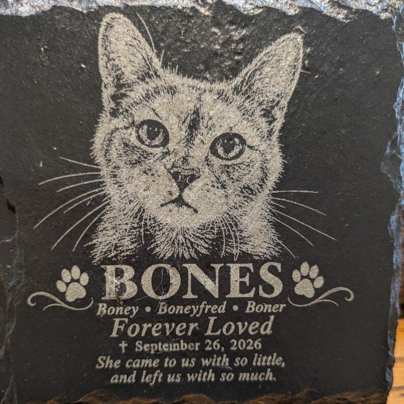 Może przedstawiać: Kwadratowa czarna tabliczka z łupka z wygrawerowanym laserowo portretem kota. Tekst brzmi: BONES, Boney, Boneyfred, Boner, Forever Loved, September 26, 2026, She came to us with so little, and left us with so much.