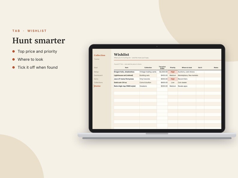 Registro di valutazione della collezione in Excel e Fogli Google, Inventario delle carte collezionabili, Monete, Dischi in vinile + Collezione di scarpe da ginnastica / Crema neutra immagine 7