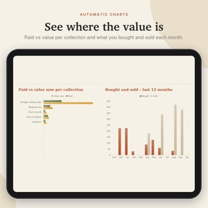 Registro di valutazione della collezione in Excel e Fogli Google, Inventario delle carte collezionabili, Monete, Dischi in vinile + Collezione di scarpe da ginnastica / Crema neutra immagine 3