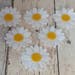 White Daisy Flowers, Die cut felt daisy, Felt daisy flower, floral craft, felt embellishments, felt applique, die cut flowers, felt daisies