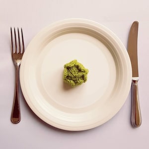 May include: A small, light green crocheted sphere resembling a head of lettuce sits in the center of a plain white ceramic plate. A silver metal fork is positioned to the left of the plate, and a silver metal dinner knife is to the right.