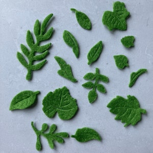 May include: A collection of green felt leaf shapes, ideal for crafting or scrapbooking. The leaves are in various sizes and shapes, including a fern, a branch, and simple leaves.