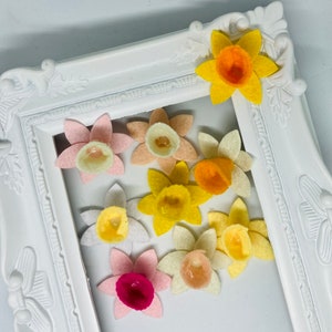 Op de afbeelding: Een verzameling van vilt narcissenbloemen in verschillende kleuren, waaronder geel, oranje, roze en wit. De bloemen zijn gerangschikt in een wit fotolijst.