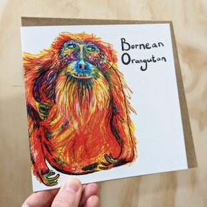 Um cartão de felicitações de orangotango de Bornéu