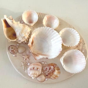 Mini Seashell Paint Palette