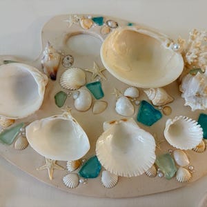 Seashell Paint Palette