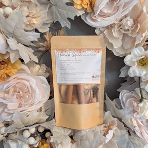 Harvest Spice Simmer Pot Kit