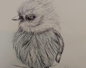Meise-Kugelschreiberzeichnung: 9"×12" Kartonbild (gerahmt)