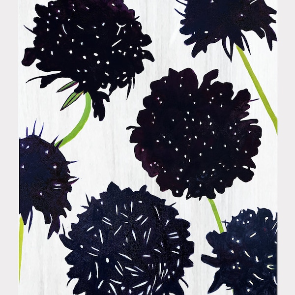 Impresión grande de arte: Scabiosa negra sobre nieve