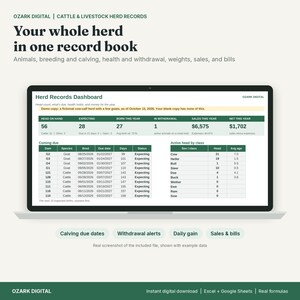 Pode incluir: Um painel digital de registros de rebanho exibido em uma tela de laptop, com tabelas para gerenciamento de gado. A interface inclui colunas para matrizes, espécies, datas de reprodução e contagens de cabeças ativas por classe.