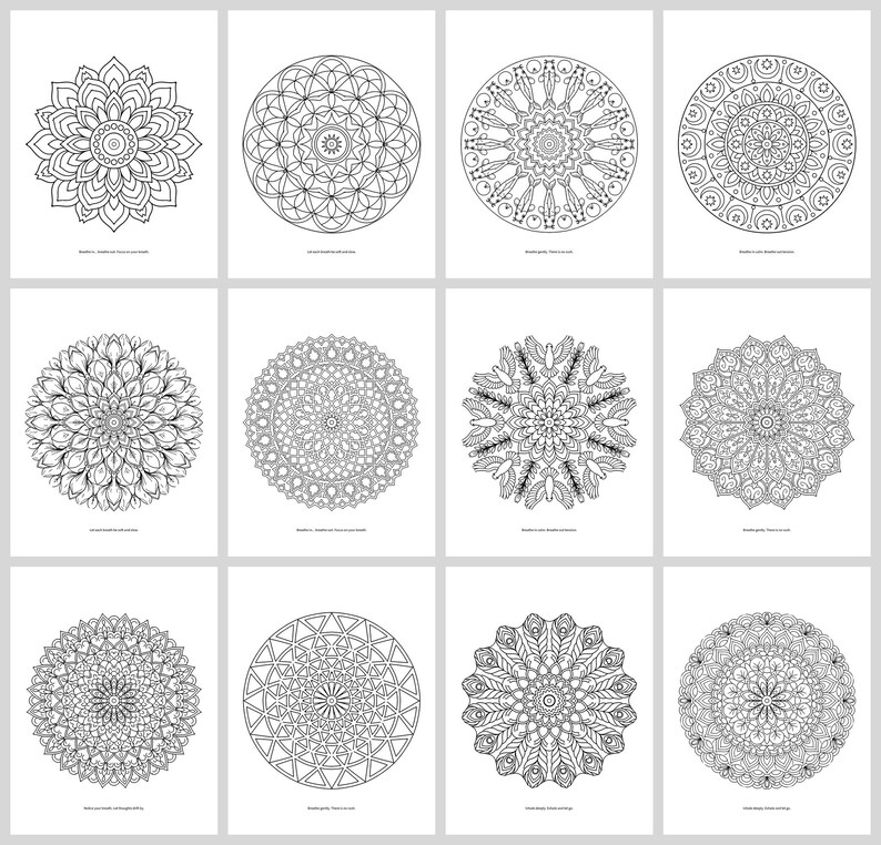 Mindful Mandalas Coloring Book for Adults: 50 Mandala Pages with Breathing Prompts, Floral, Geometric, Nature and Zen, Stress Relief PDF image 8
