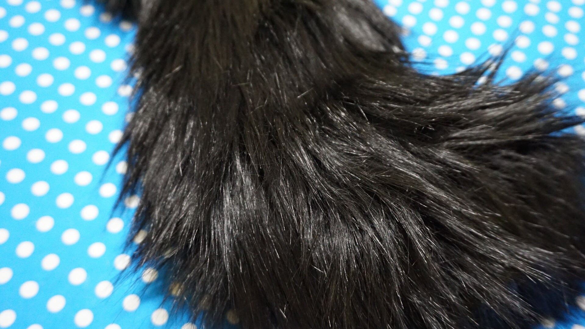 Black Wolf Animal Costume Tail Etsy