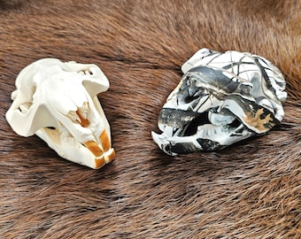 Taxidermy curiosities