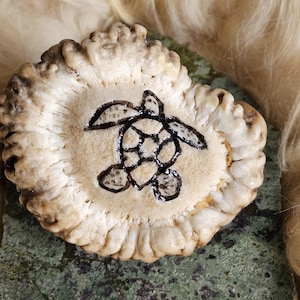 Puede incluir: Una pieza de asta tallada, de color blanquecino, con un diseño de tortuga negra. La tortuga está centrada en el asta, que tiene una forma orgánica texturizada. El fondo es una mezcla de verde y beige.