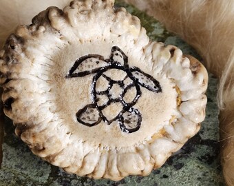 Carved Elk Antler Turtle Burr: Native American Ojibwe Cabin Decor