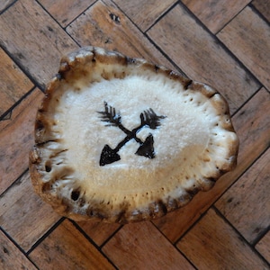 Puede incluir: Una cornamenta blanca con un diseño negro de dos flechas cruzadas. La cornamenta está sobre una superficie de madera marrón.