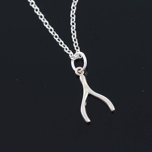 Wishbone halsketting van 925 Sterling Zilver, zilver wens boneJewelry, Draagarm hanger