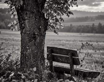 May include: A black and white photograph featuring a large, textured tree trunk standing next to a wooden bench. The bench is positioned on the edge of a field, with a backdrop of rolling hills and a cloudy sky visible in the distance.