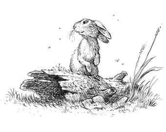 Lookout Bunny - 5 x 7” Hand-Signed Print on Card Stock