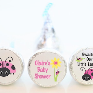 Personalized Ladybug Baby Shower Hershey Kiss Sticker Favors - Baby Shower Party Favors - LDB001 - LABELS ONLY :)