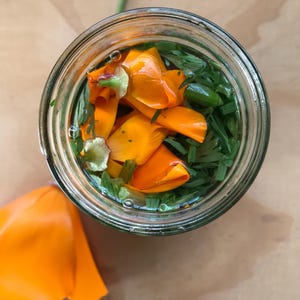 CALIFORNIA POPPY TINCTURE - Eschscholzia Californica. Wild. Homegrown. Organic. Whole Plant Extract.